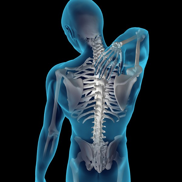 Back Health (NAB/NCERS Approved) – 1.0 CE/Contact Hours