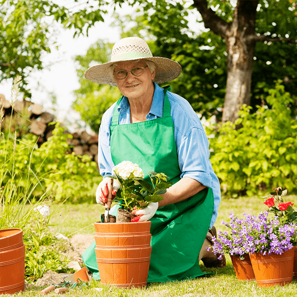 Activities in Assisted Living (Caregiver Training) – 1.0 Hour