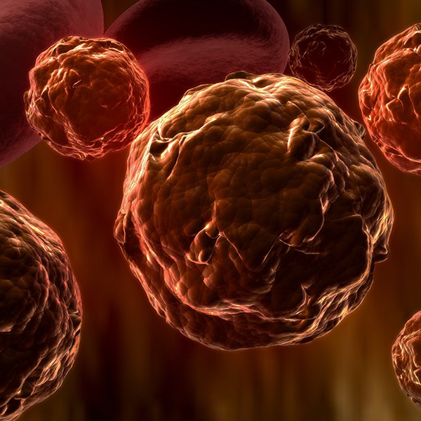 Sepsis: A Deadly Encounter (NAB/NCERS Approved) – 1.0 CE/Contact Hour