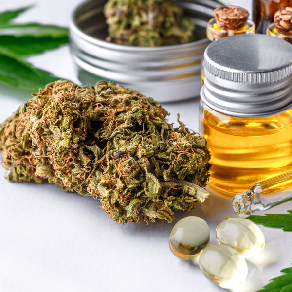 Chronic Pain Management: Should Medical Cannabis Be an Option? (Florida CNA) – 1.0 CE/Contact Hour