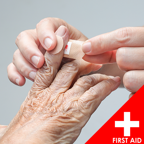 First Aid Training for Caregivers (Caregiver Training) – 2.0 Hours