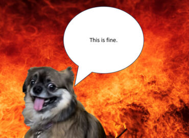 A small dog with wide eyes and its tongue out sits in front of intense flames, smiling nervously. A speech bubble above its head says, “This is fine.”