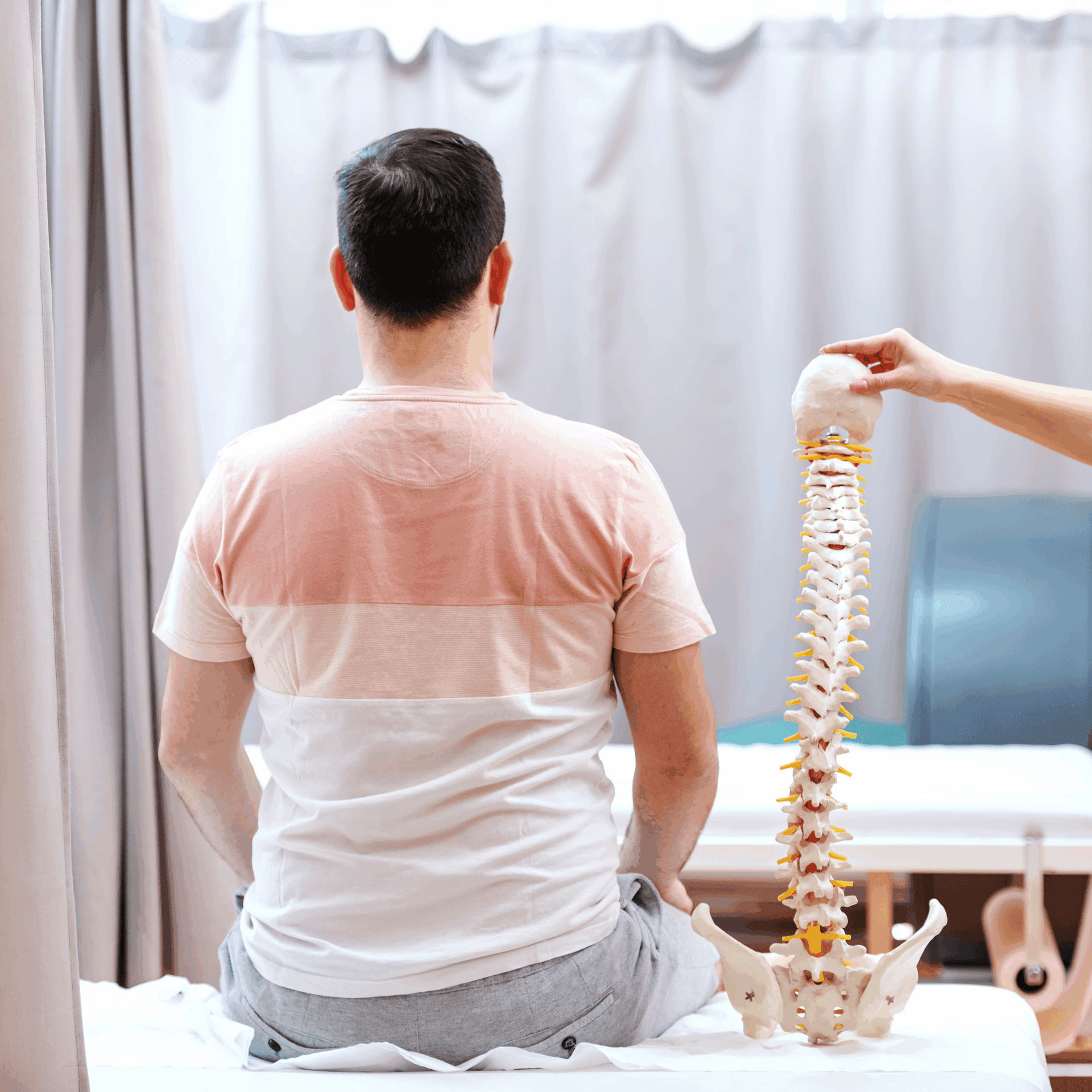 Anatomy and Physiology of the Neurological System (FL CNA Approved) – 3.0 CE/Contact Hours